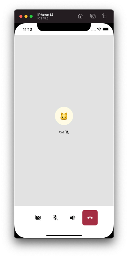 带有名称的 iOS 数据自定义模型注入的屏幕截图。