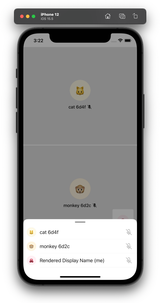 iOS 远程参与者视图数据注入的屏幕截图。