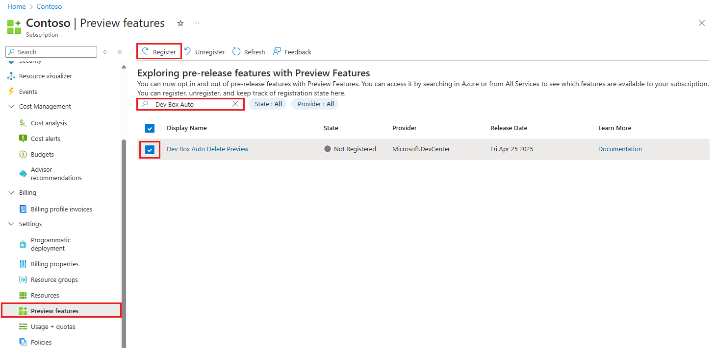 Azure 门户的屏幕截图,其中显示了“预览”功能窗格,其中选择了“开发框自动删除预览”。
