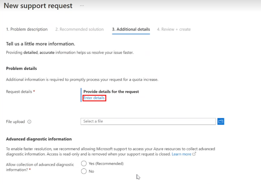 “其他详细信息”页的屏幕截图,其中突出显示了“输入详细信息”。
