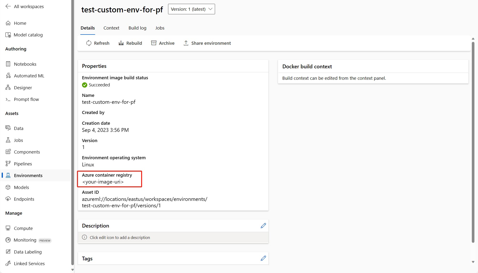 自定义环境详细信息页的屏幕截图。