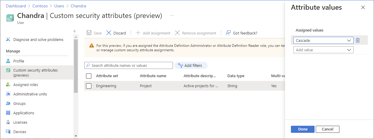 分配自定义安全属性的屏幕截图。