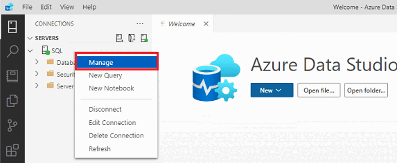 显示 Azure Data Studio 中的服务器连接和“管理”选项的屏幕截图。