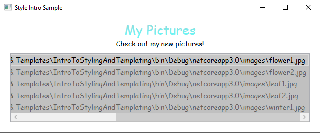 应用模板前的 ListBox