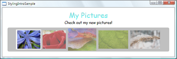 样式示例屏幕截图