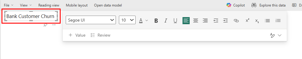 显示报表文本框中输入的值的屏幕截图。