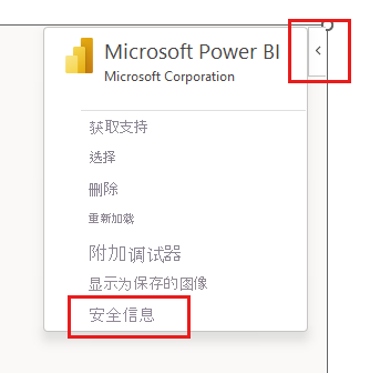 加载项“安全信息”侧窗格菜单选项的屏幕截图。