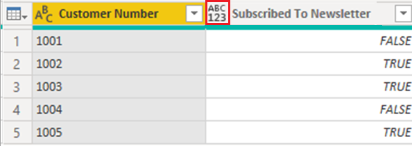 显示设置为布尔值的列的屏幕截图。