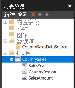 “报表数据”窗格中数据集的屏幕截图。