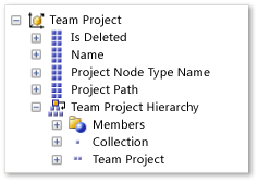 ALM_RPT_TeamProject Team Project Dimension