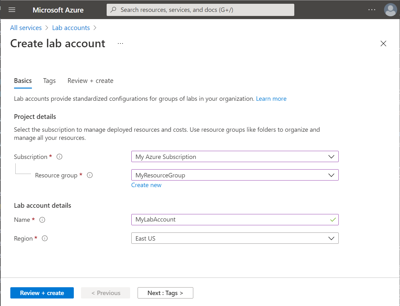 “创建实验室帐户向导”中的“基本信息”选项卡的屏幕截图。