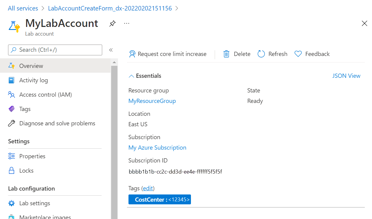 显示实验室帐户概述页的屏幕截图。