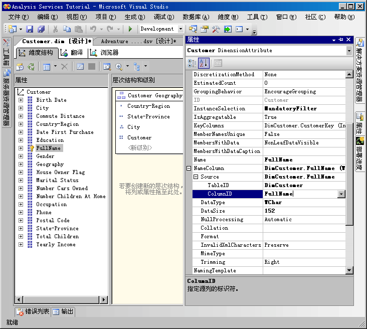 Customer 属性层次结构和 ColumnID 更改