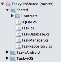 Shared project solution Shared project solution