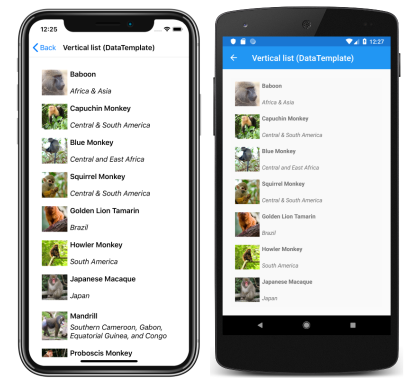 CollectionView 中的模板化项 iOS 和 Android 上每个项都模板化的 CollectionView 的屏幕截图