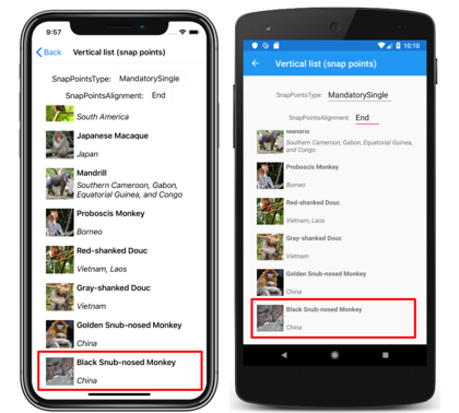 具有结束对齐点的 CollectionView 垂直列表 iOS 和 Android 上具有结束对齐点的 CollectionView 垂直列表的屏幕截图