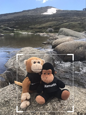 裁剪示例 裁剪示例