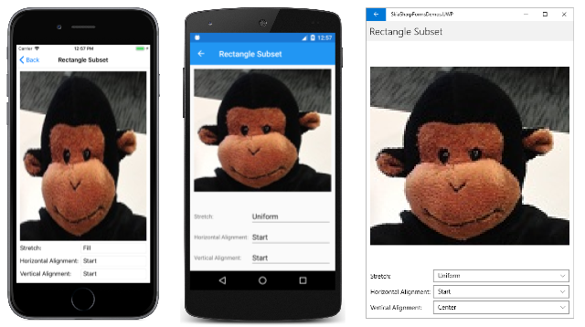 矩形子集 矩形子集