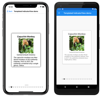模板化 IndicatorView iOS 和 Android 上模板化 IndicatorView 的屏幕截图