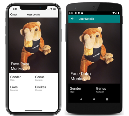 主题应用的详细信息页面 iOS 和 Android 上主题应用的详细信息页面的屏幕截图
