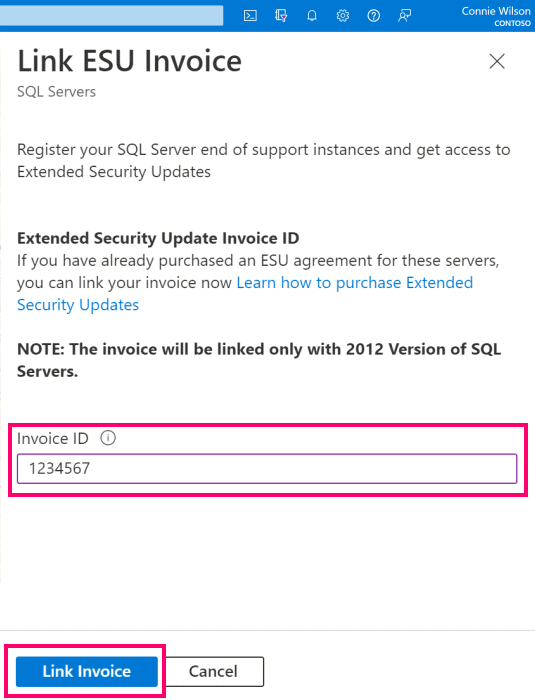 链接 ESU 发票页上发票 ID 的屏幕截图。