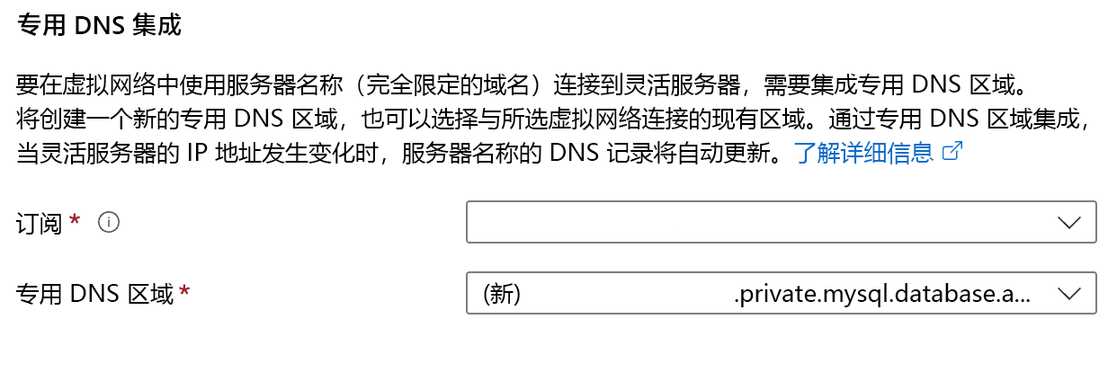 专用 DNS 集成配置的屏幕截图。