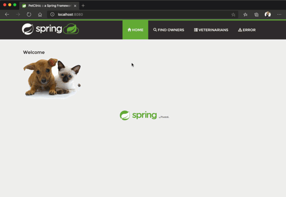 此屏幕截图显示如何单击以执行 pet clinic 示例应用程序的本地部署。