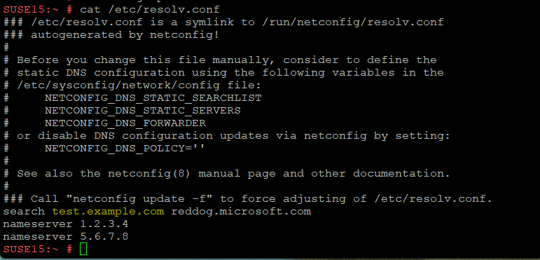 最终更改后的 Resolv.conf 的屏幕截图