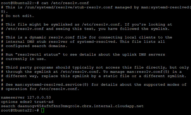 Ubuntu 中默认 resolv.conf 文件的屏幕截图。