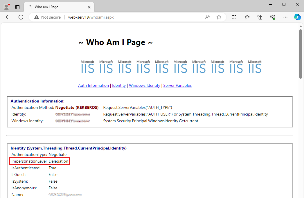 ImpersonationLevel 设置页的屏幕截图。