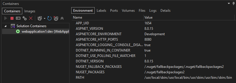 Visual Studio 中“容器”窗口的屏幕截图，其中左侧窗格中选择了容器，右窗格中选择了“环境”选项卡。