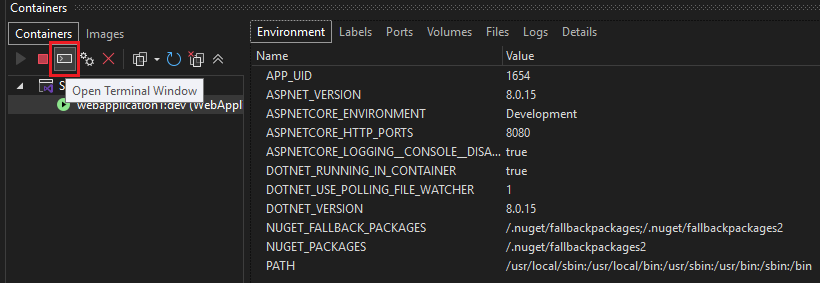 在“容器”窗口中打开终端窗口的屏幕截图。