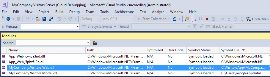 检查“模块”窗口