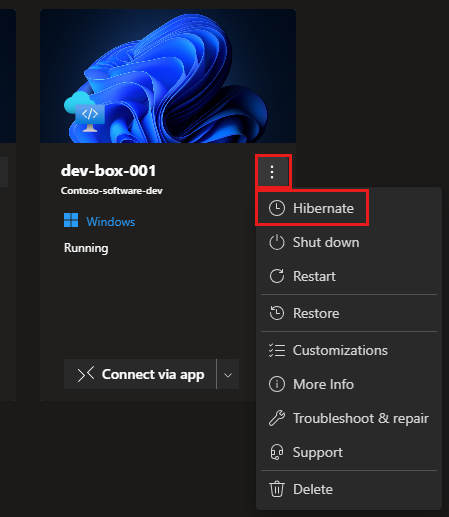 開發人員入口網站的螢幕快照，其中顯示已開啟動作功能表並醒目提示休眠選項的開發方塊。