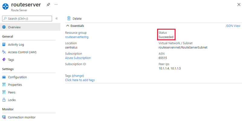 螢幕擷取畫面顯示確認成功部署的路由伺服器概觀頁面。