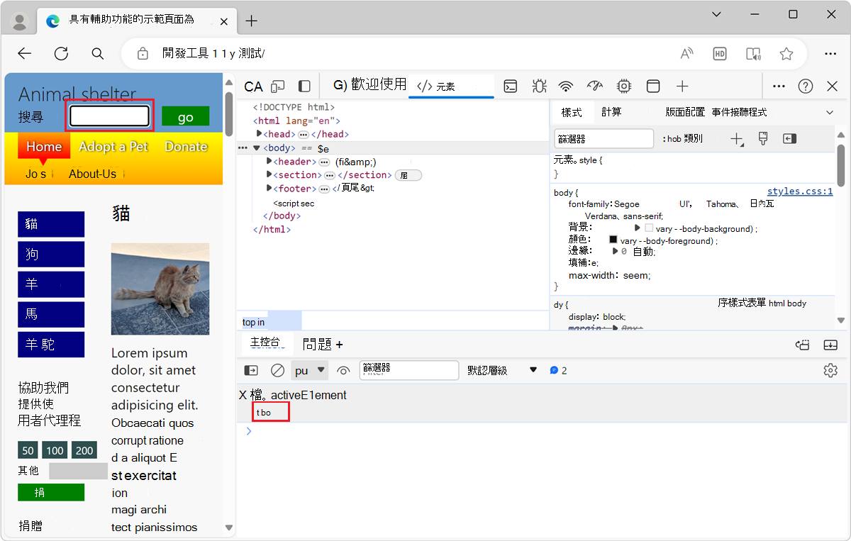 當文字框聚焦於網頁時，即時表達的結果