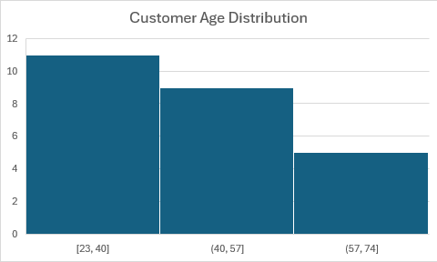 A histogram chart showing customer age distribution with automatically determined bin ranges.