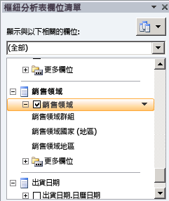 欄位清單中的銷售領域階層